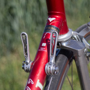 Chesini Gran Premio (56cm)