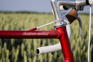 SOLD! Gazelle Champion Mondial AA - special frame