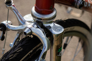 SOLD! Gazelle Champion Mondial AA - special frame