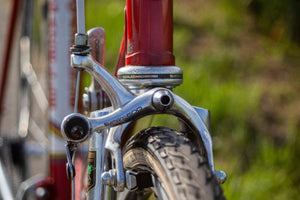 SOLD! Gazelle Champion Mondial AA - special frame