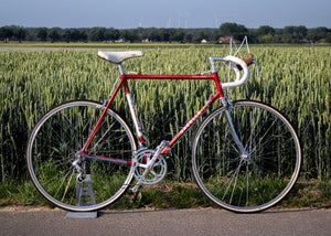 SOLD! Gazelle Champion Mondial AA - special frame